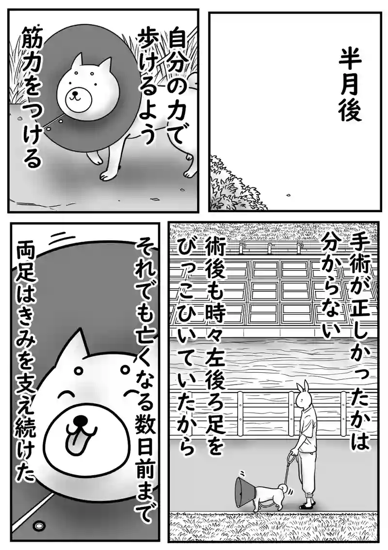 3話～きみと過ごした日々～