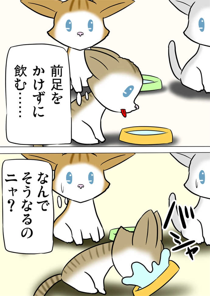 ミーのおもちゃ箱　第821話～第827話