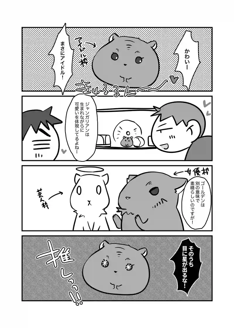 アイドル！