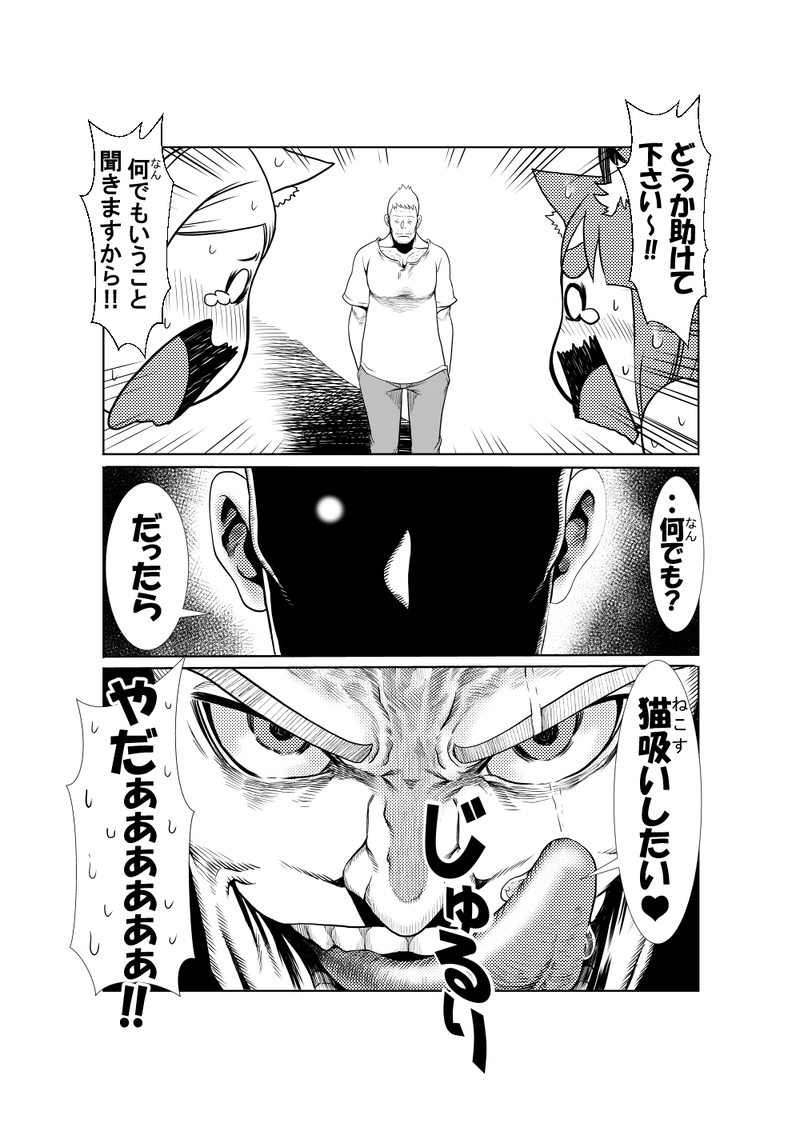 ネコとオッサン２５話