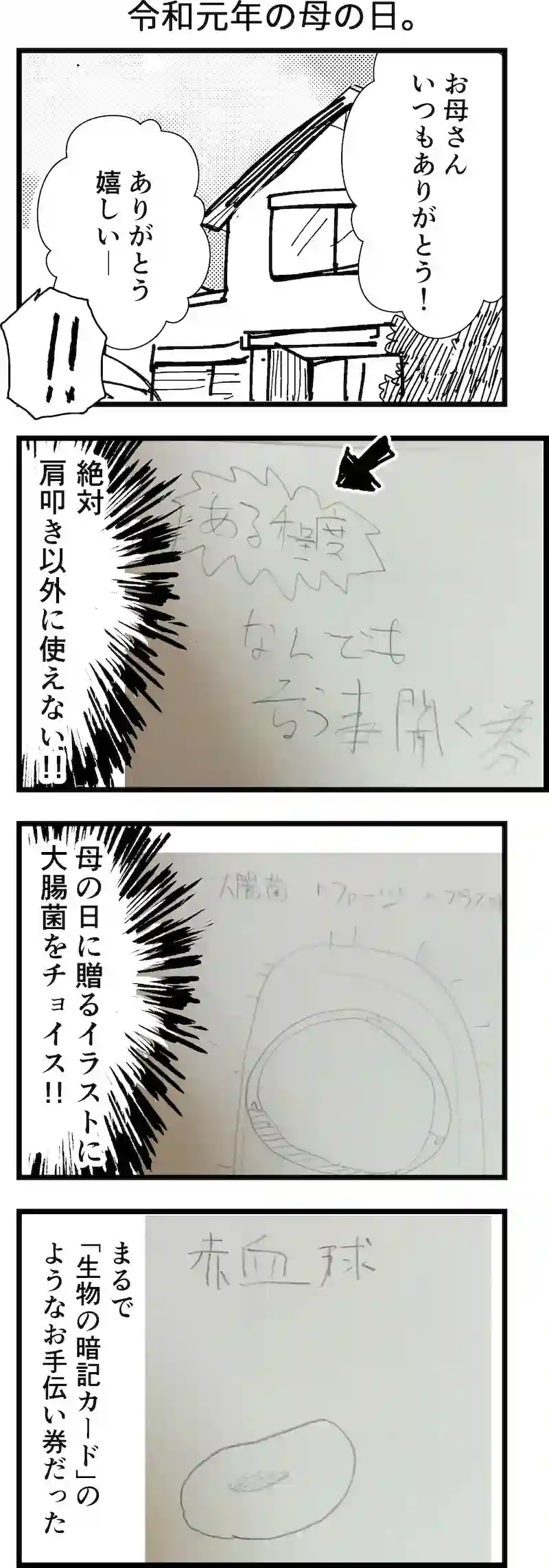 令和元年の母の日。