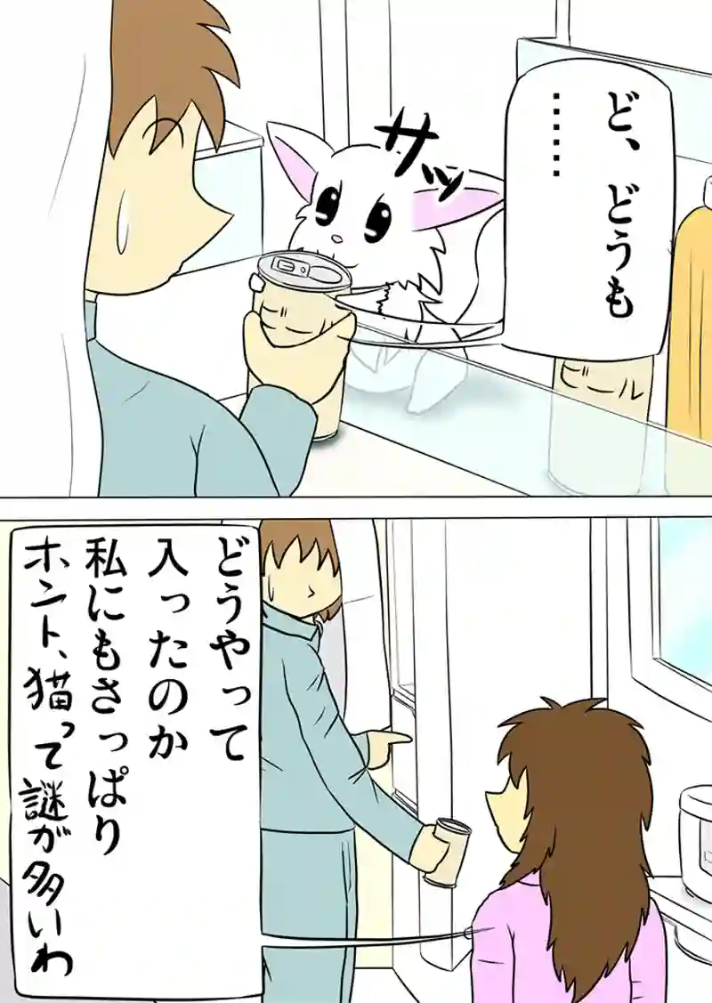 ミーのおもちゃ箱 第999話～第1004話