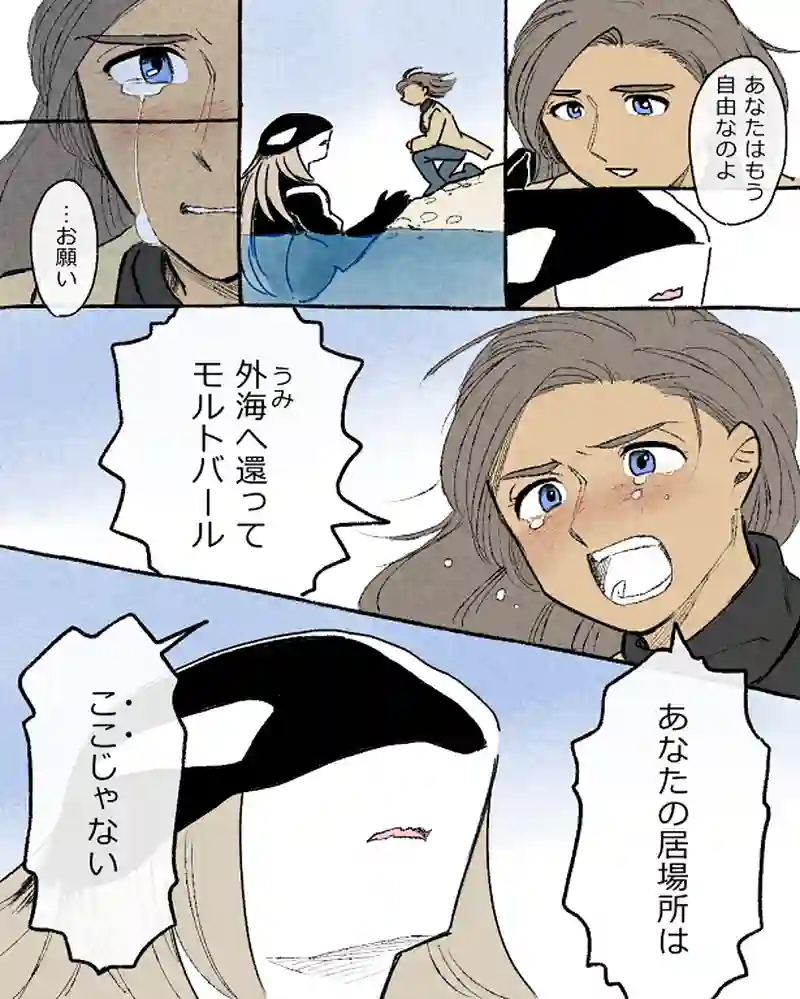 モルトバール１２後半
