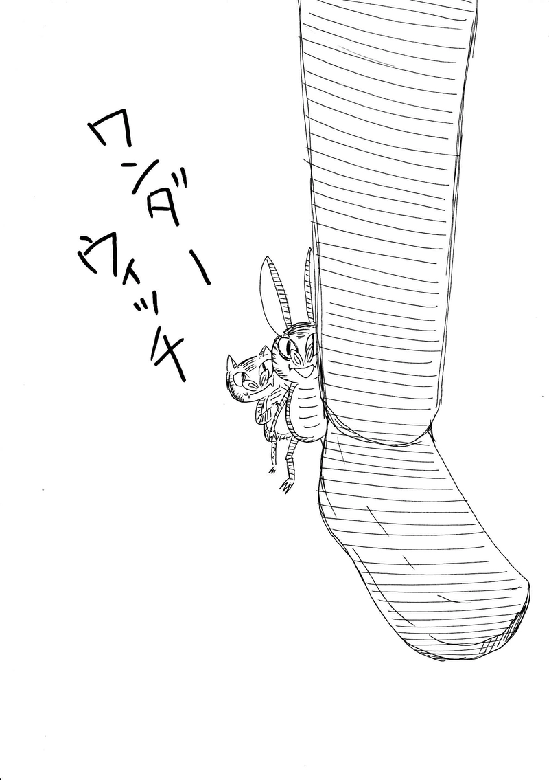 45、トロール起床