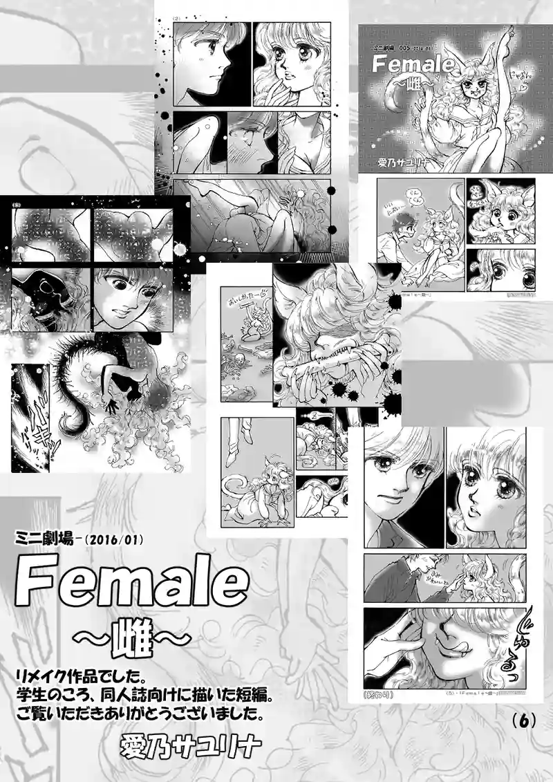 5+あとがき