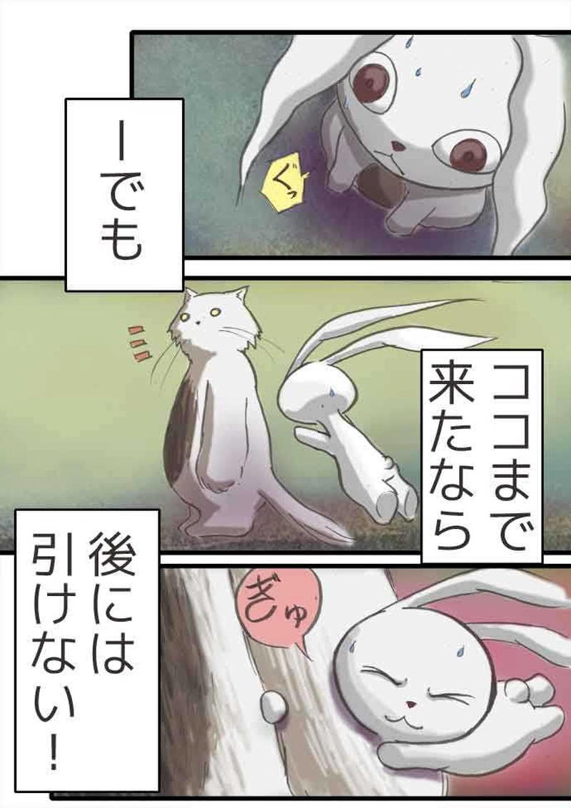 腹黒ウサギと腹白ネコ（前編）