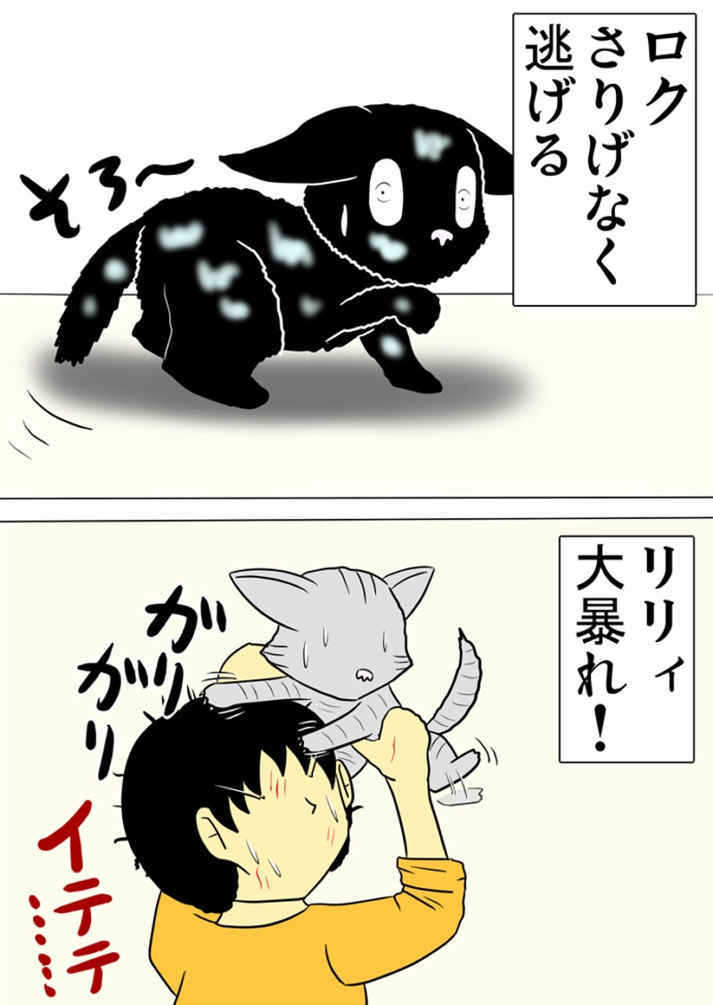 ミーのおもちゃ箱 第1425話～第1428話