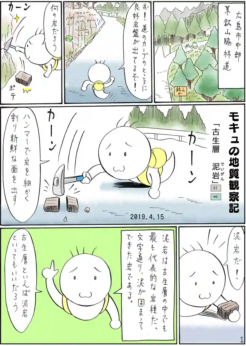 古生層　泥岩