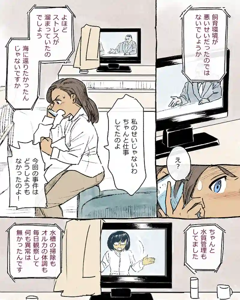 モルトバール１２前半