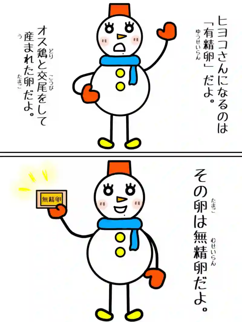 『特別ゲスト２』①