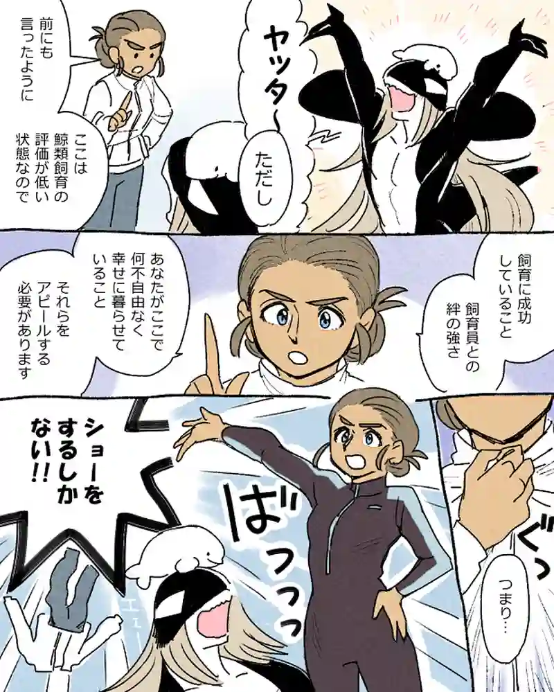 モルトバール９
