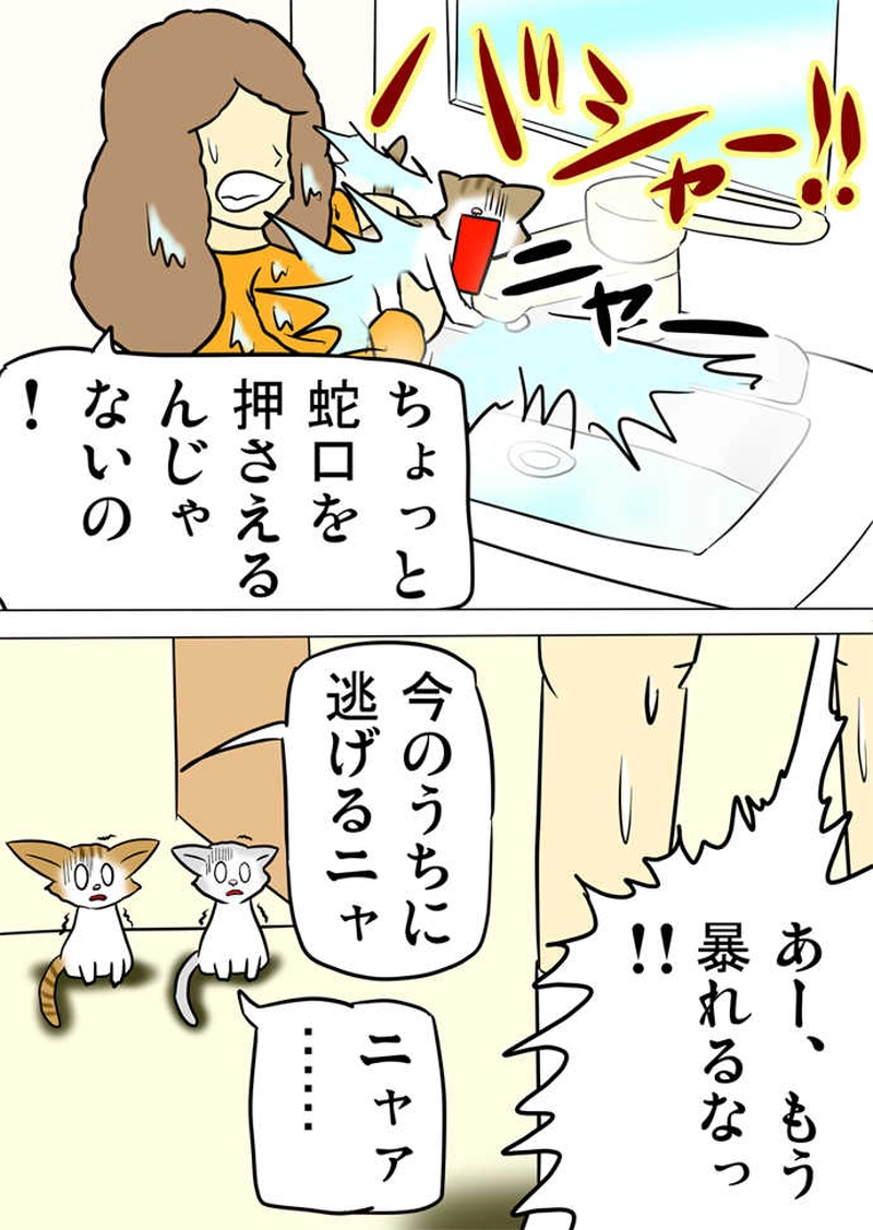 ミーのおもちゃ箱５０４話