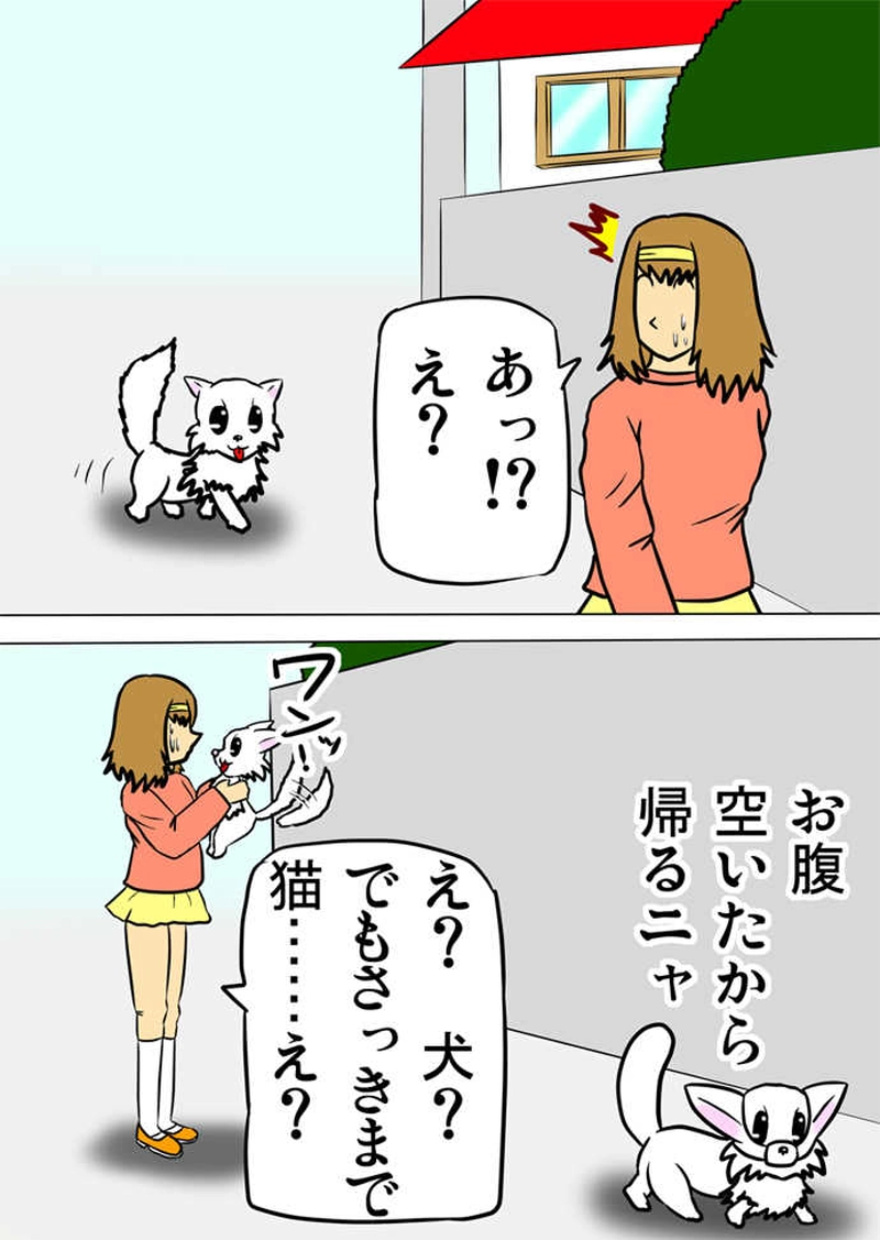 ミーのおもちゃ箱566話～第571話