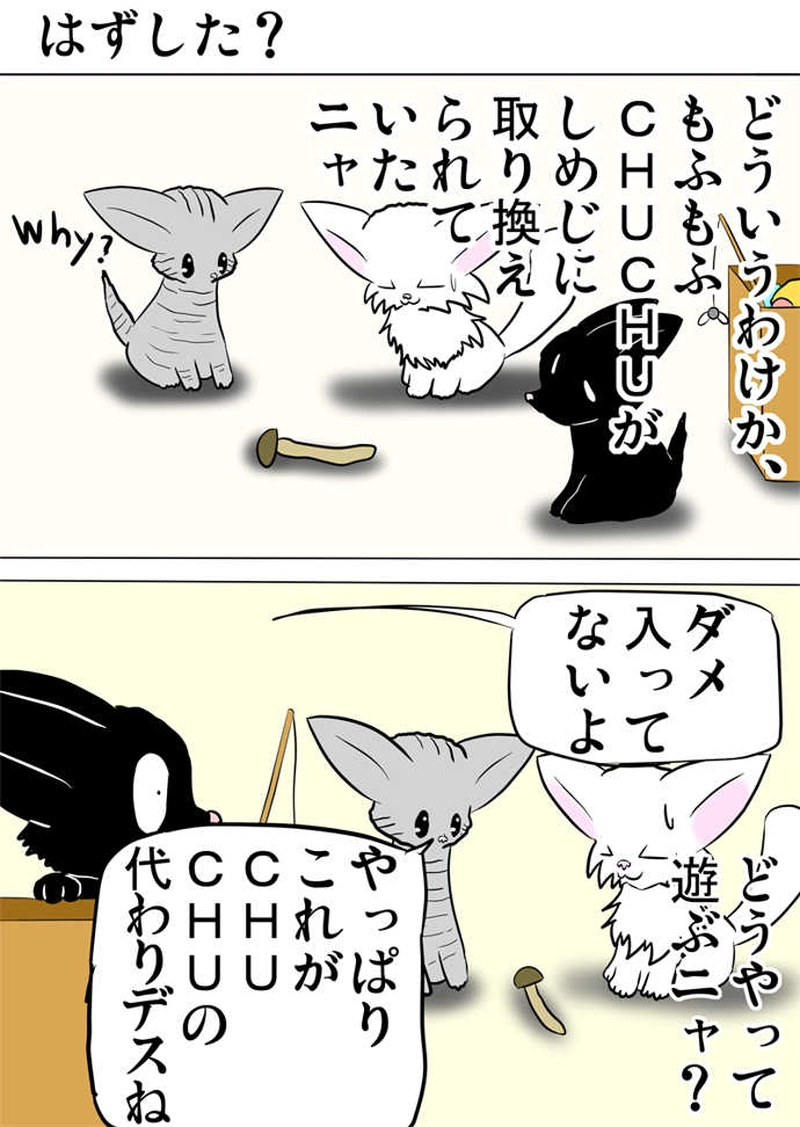 ミーのおもちゃ箱３１９話