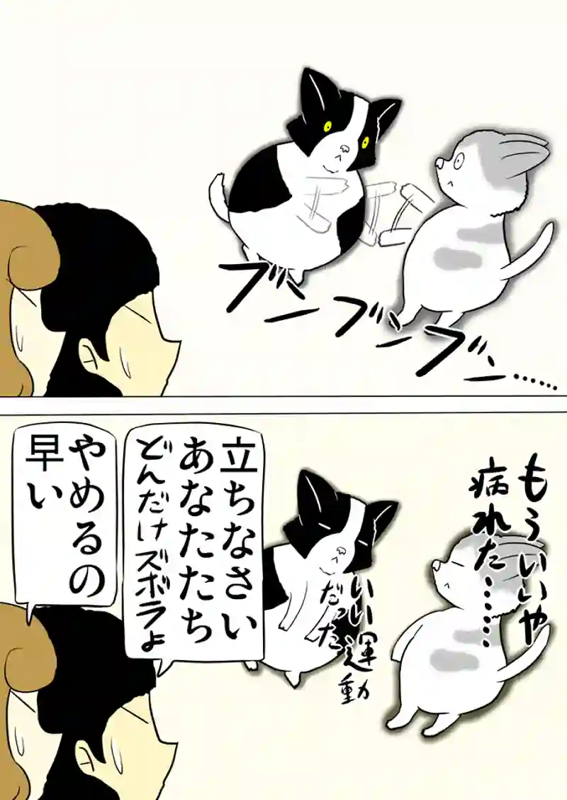 ミーのおもちゃ箱 第1173話～第1178話