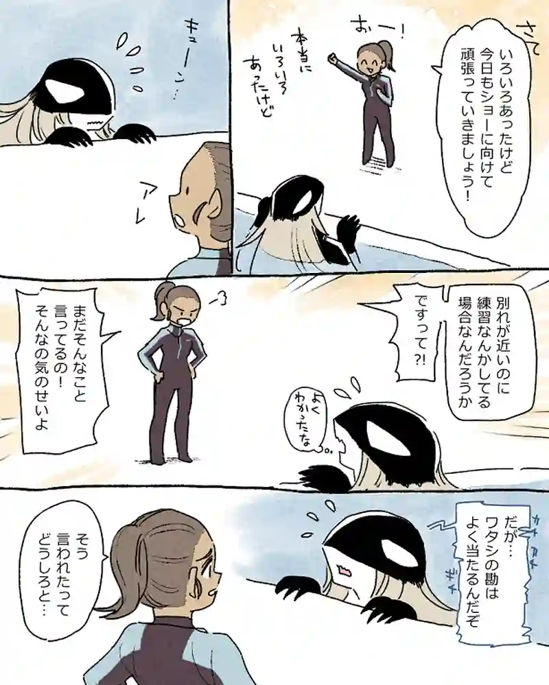 モルトバール１１