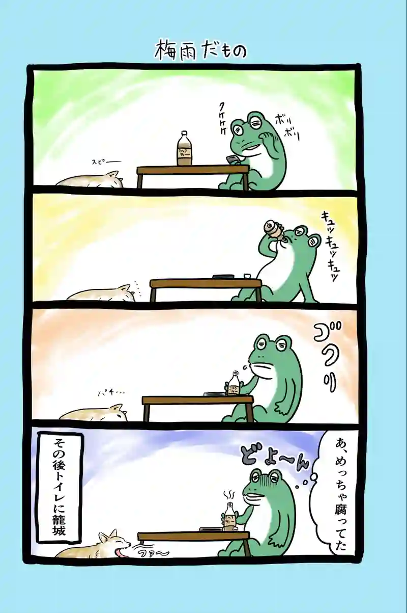 急に来てすぐカエル(26)