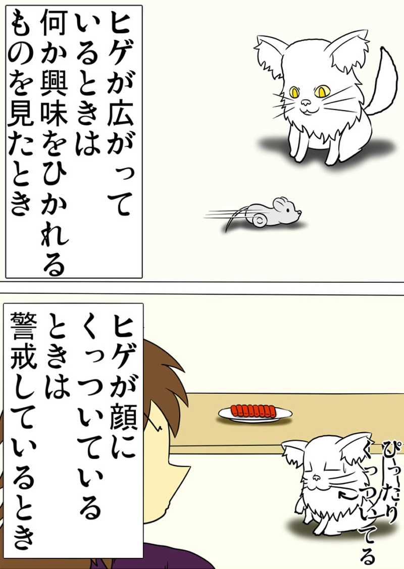 ミーのおもちゃ箱 第1288話～第1293話