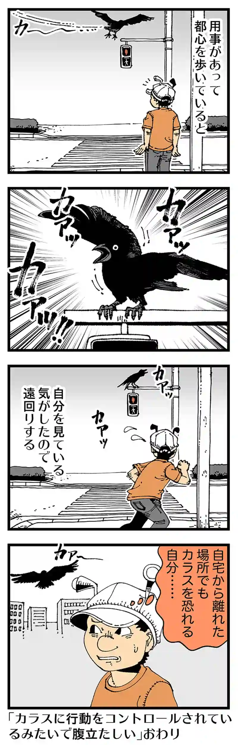 【普通】カラスにＰＴＳＤ
