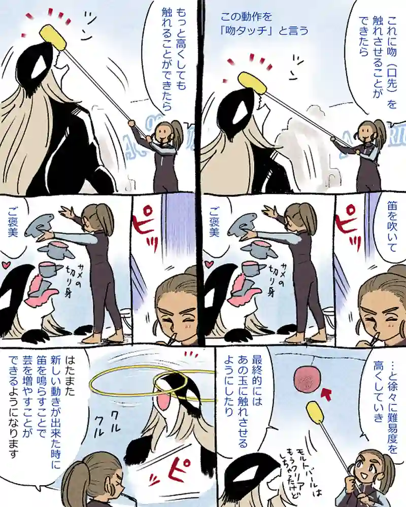モルトバール１０