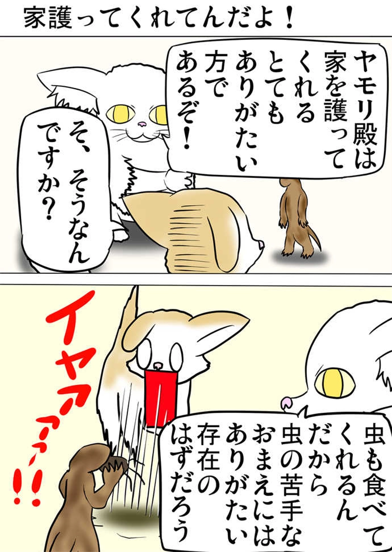 ミーのおもちゃ箱３７７話