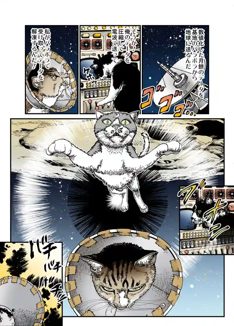 Parabola Antenna Cat -Part 2-