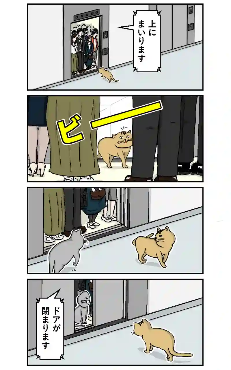 エレベーター