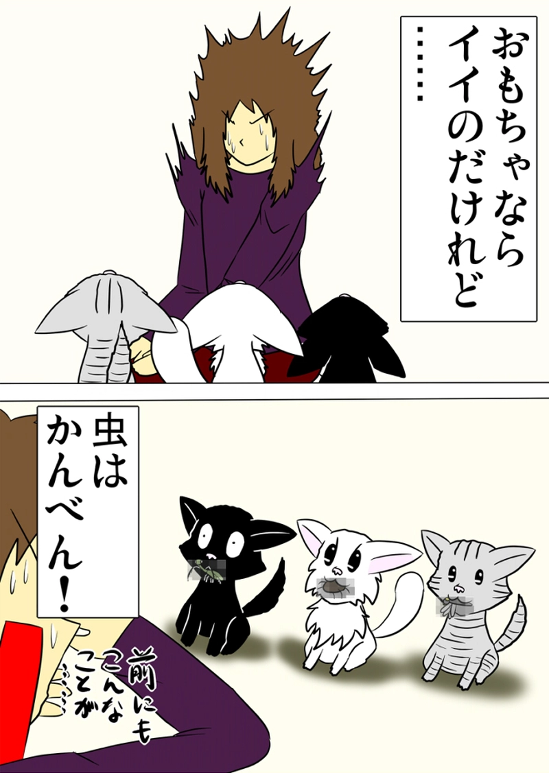 ミーのおもちゃ箱 第1258話～第1263話