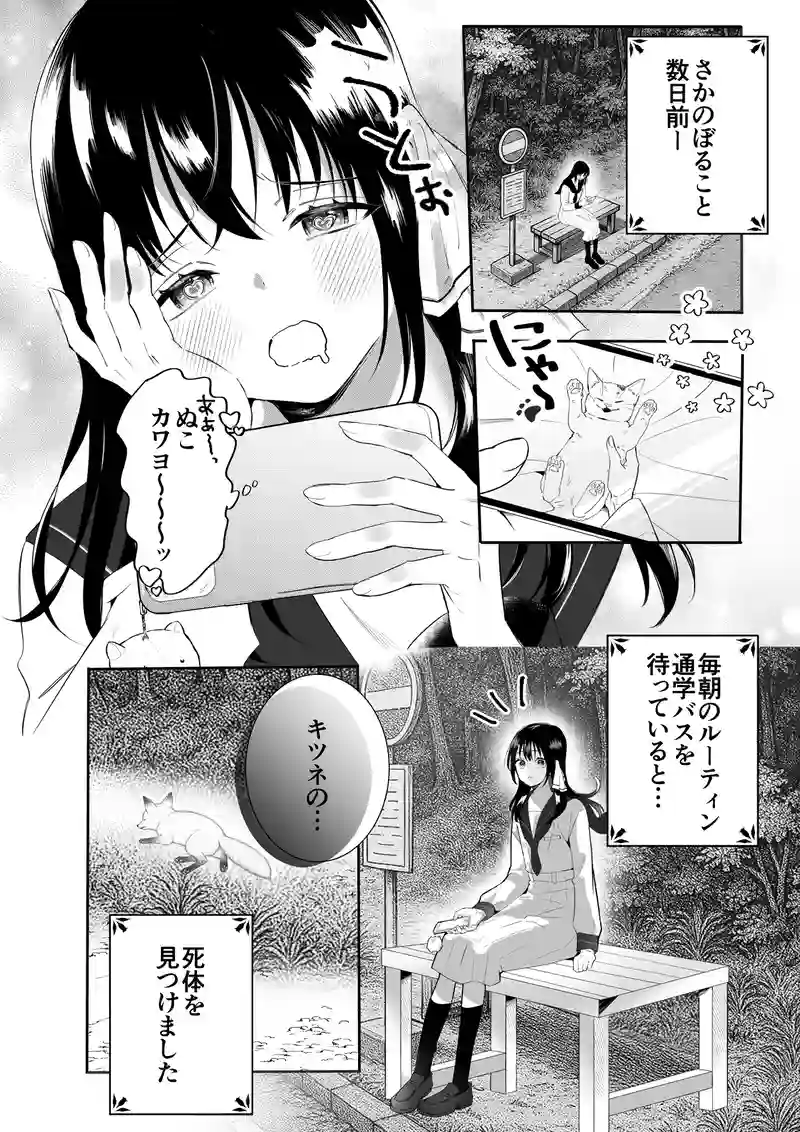 出会い