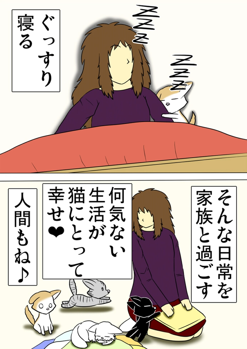 ミーのおもちゃ箱 第1258話～第1263話