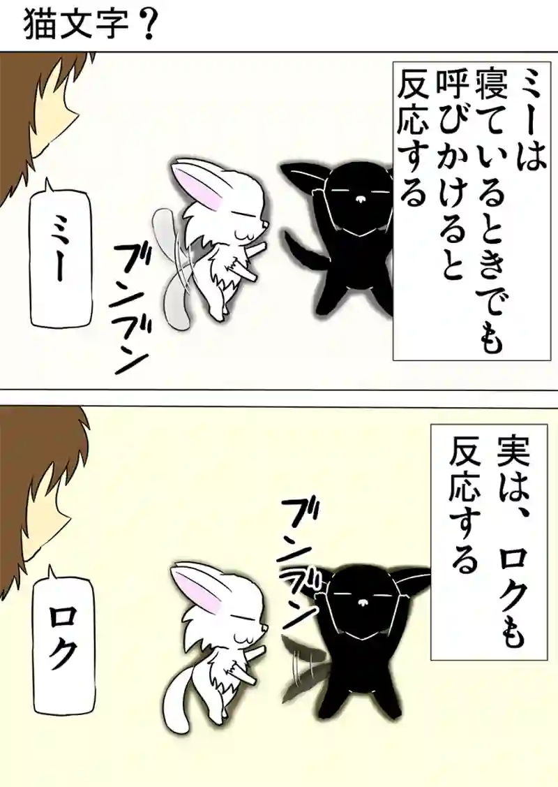 ミーのおもちゃ箱 第1059話～第1064話