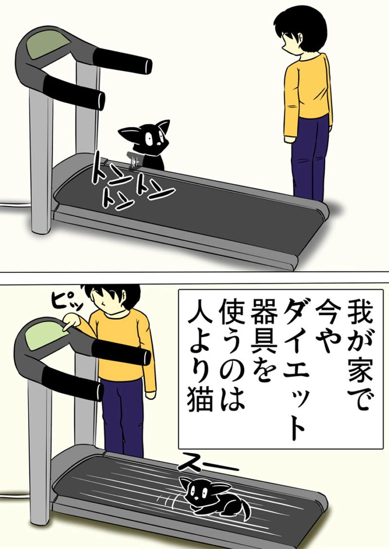 ミーのおもちゃ箱 第1336話～第1341話