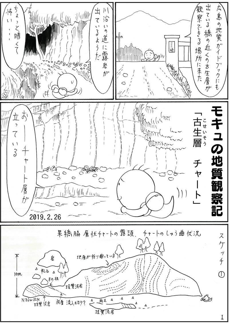 古生層　チャート