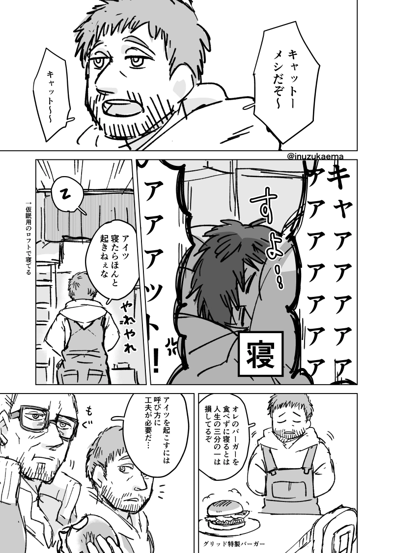 キャットの起こし方