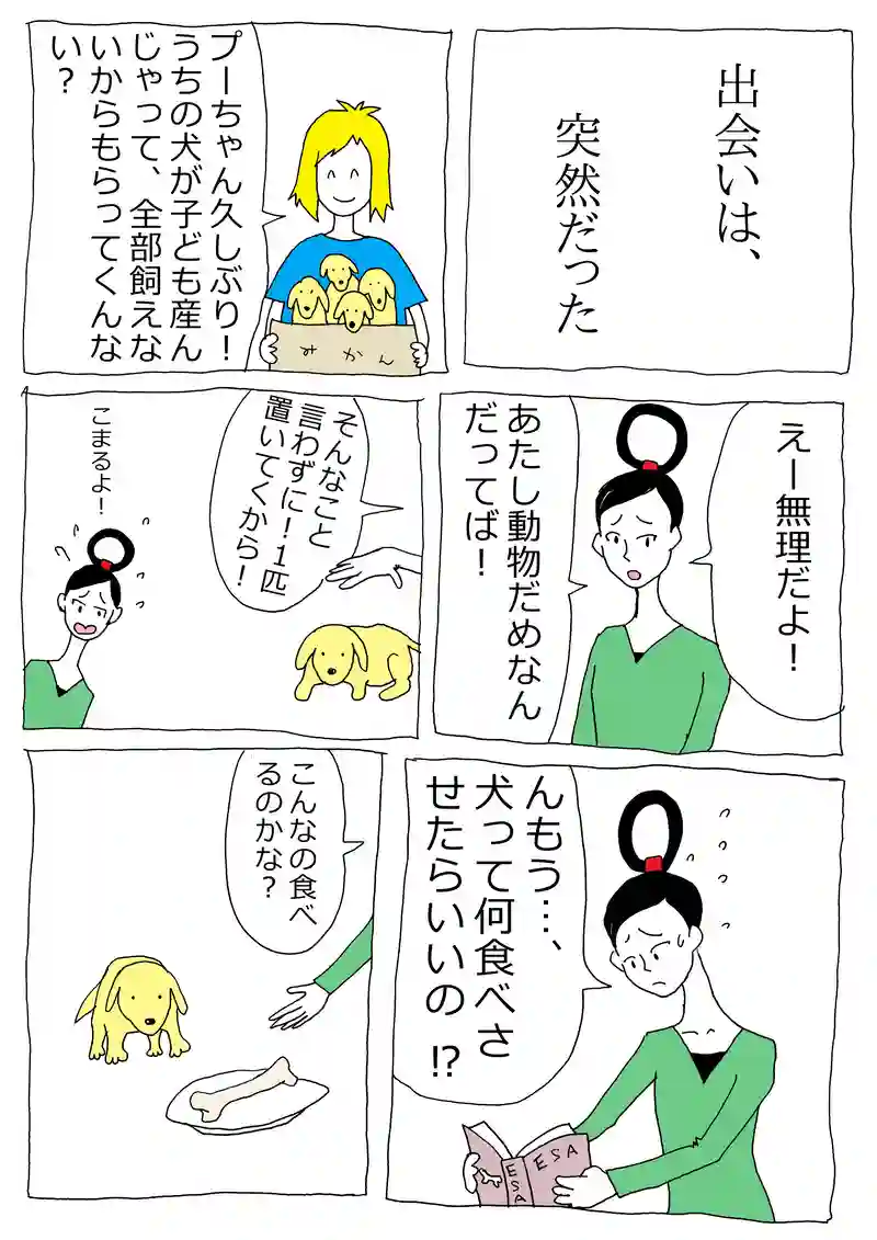 第45話「キンバリーのおなら」