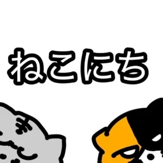 ねこにち