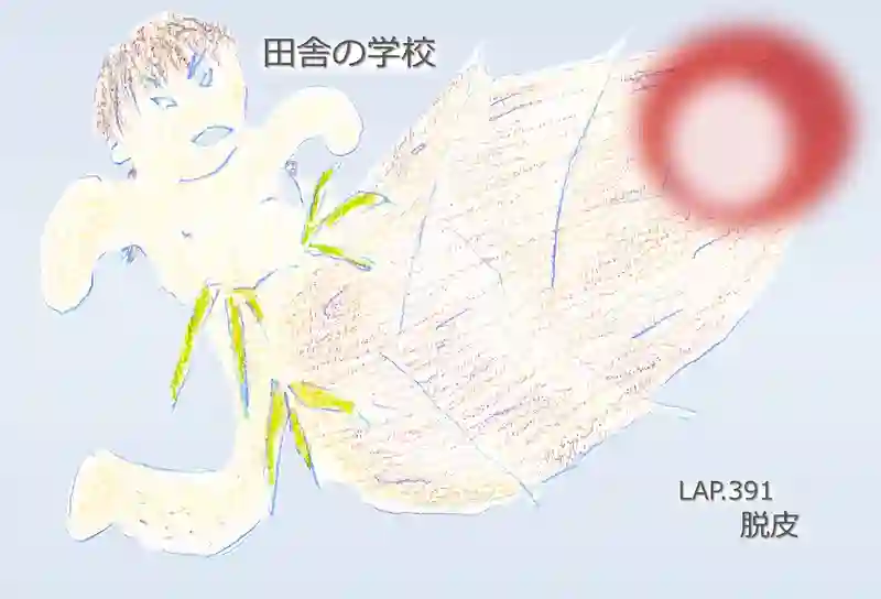 LAP.391 脱皮