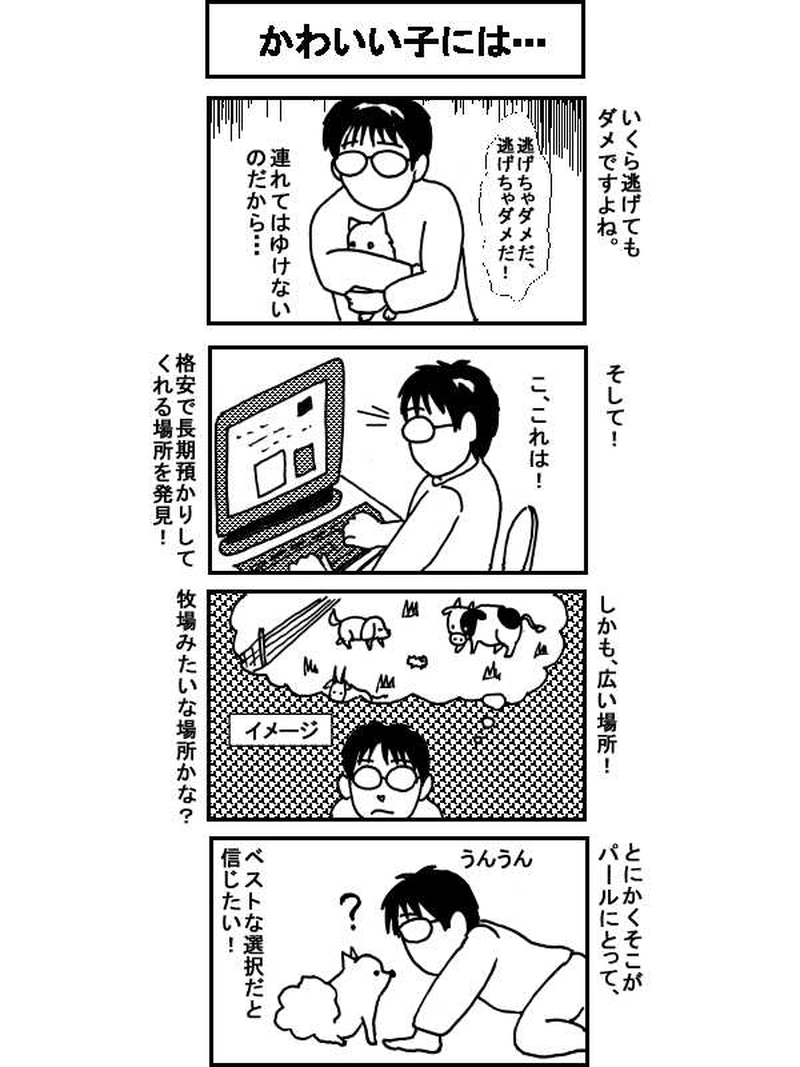 ボクとポメのドタバタ生活、一年間　その34