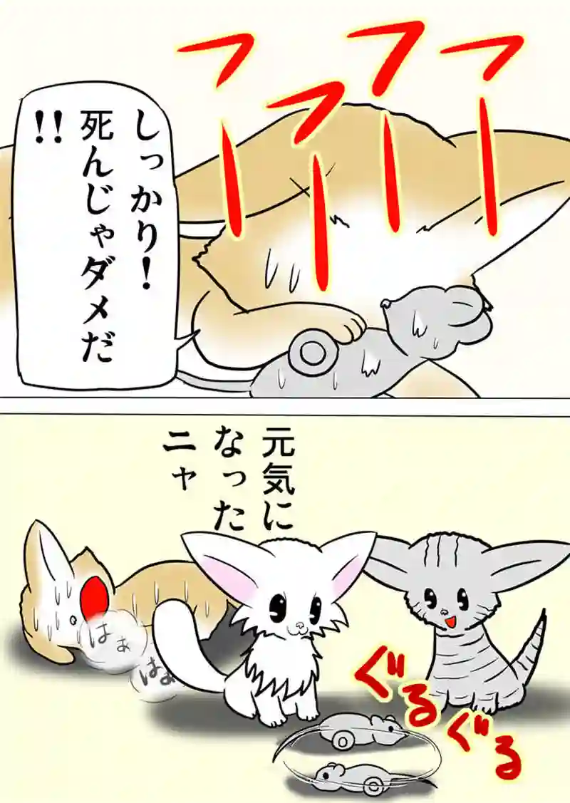 ミーのおもちゃ箱２８０話