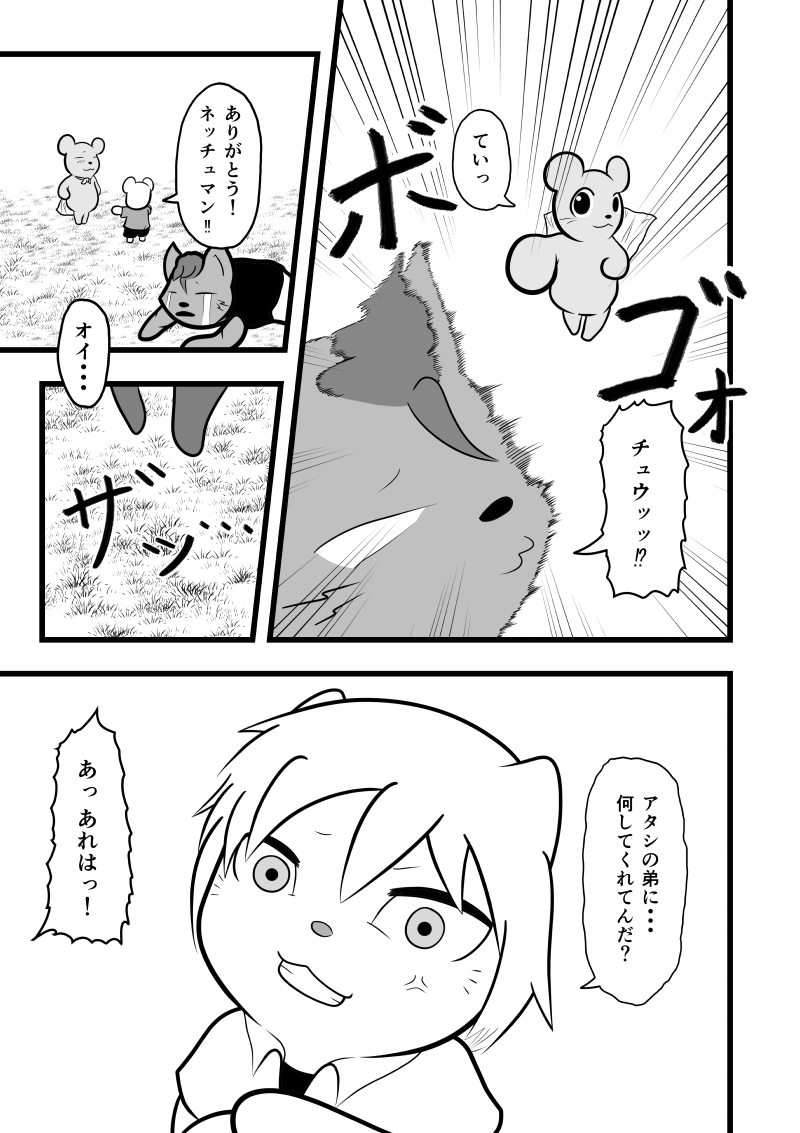 ネッチュマンの正義