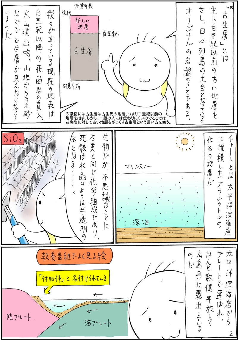 古生層　チャート