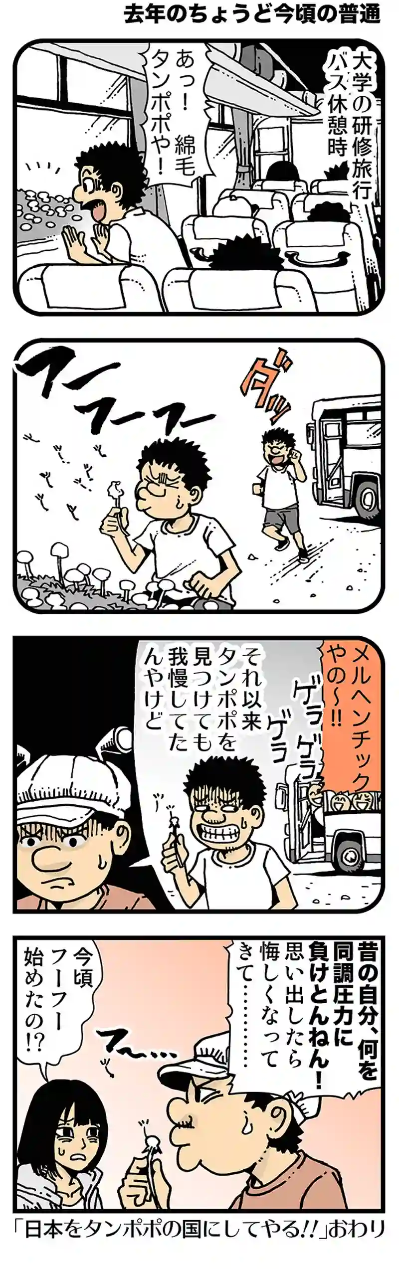 【去年のちょうど今頃の普通】Dandelion