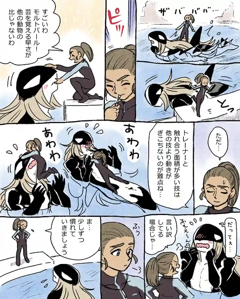 モルトバール１０