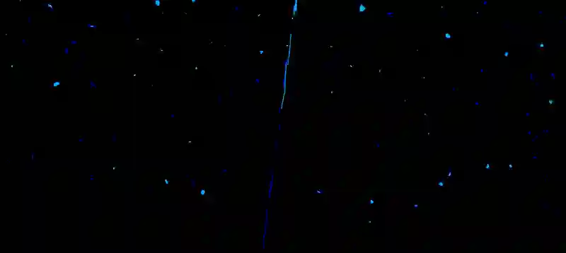 Episode:01 夢の終わり