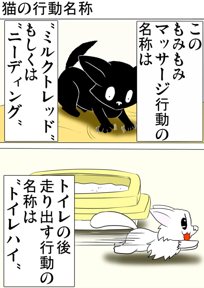 ミーのおもちゃ箱 第1282話～第1287話