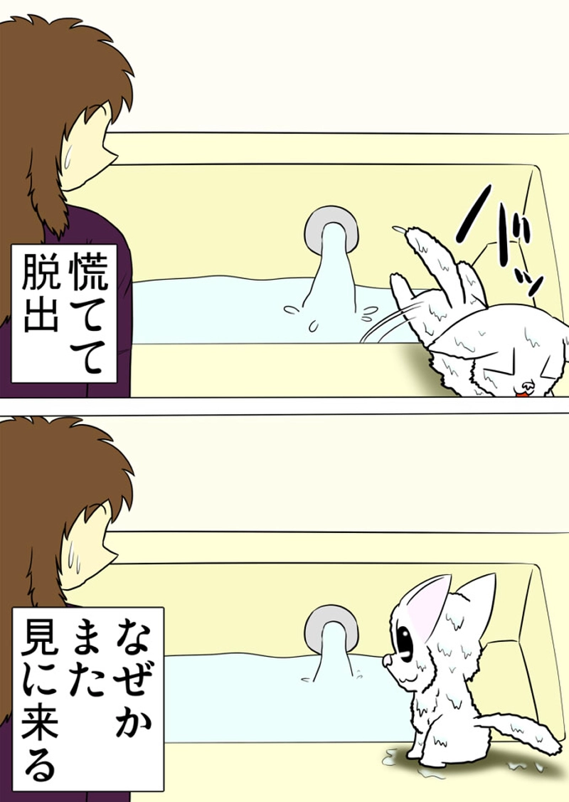 ミーのおもちゃ箱 第1413話～第1416話