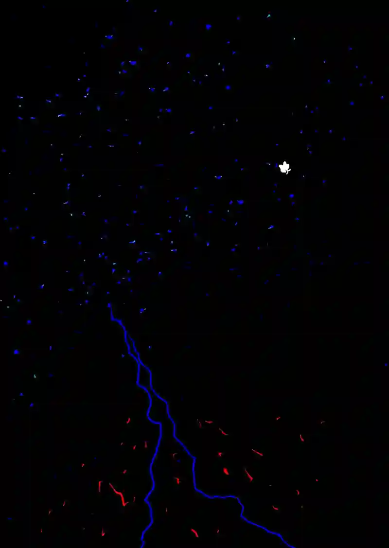 Episopde:01 夢の終わり