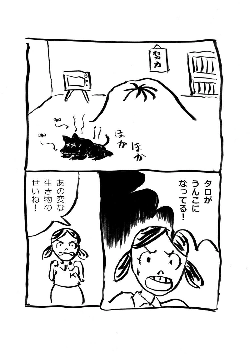 肛門生物　　沙さ綺ゆがみ