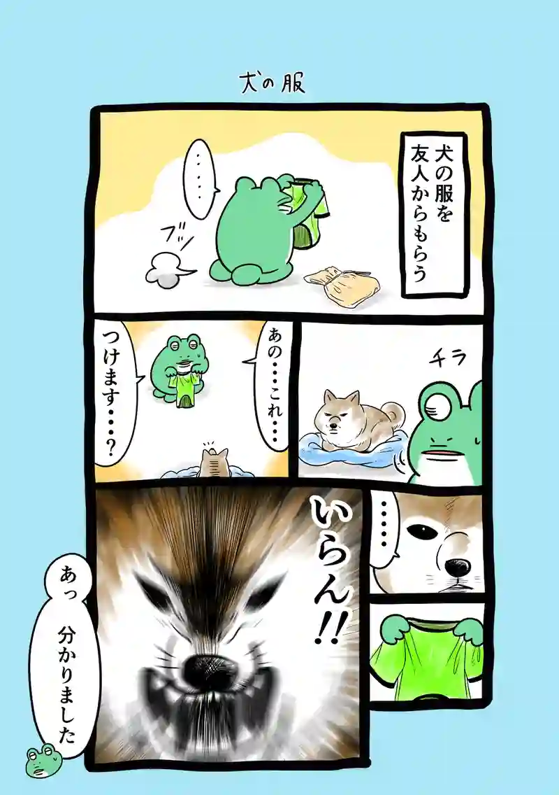 急に来てすぐカエル(256)