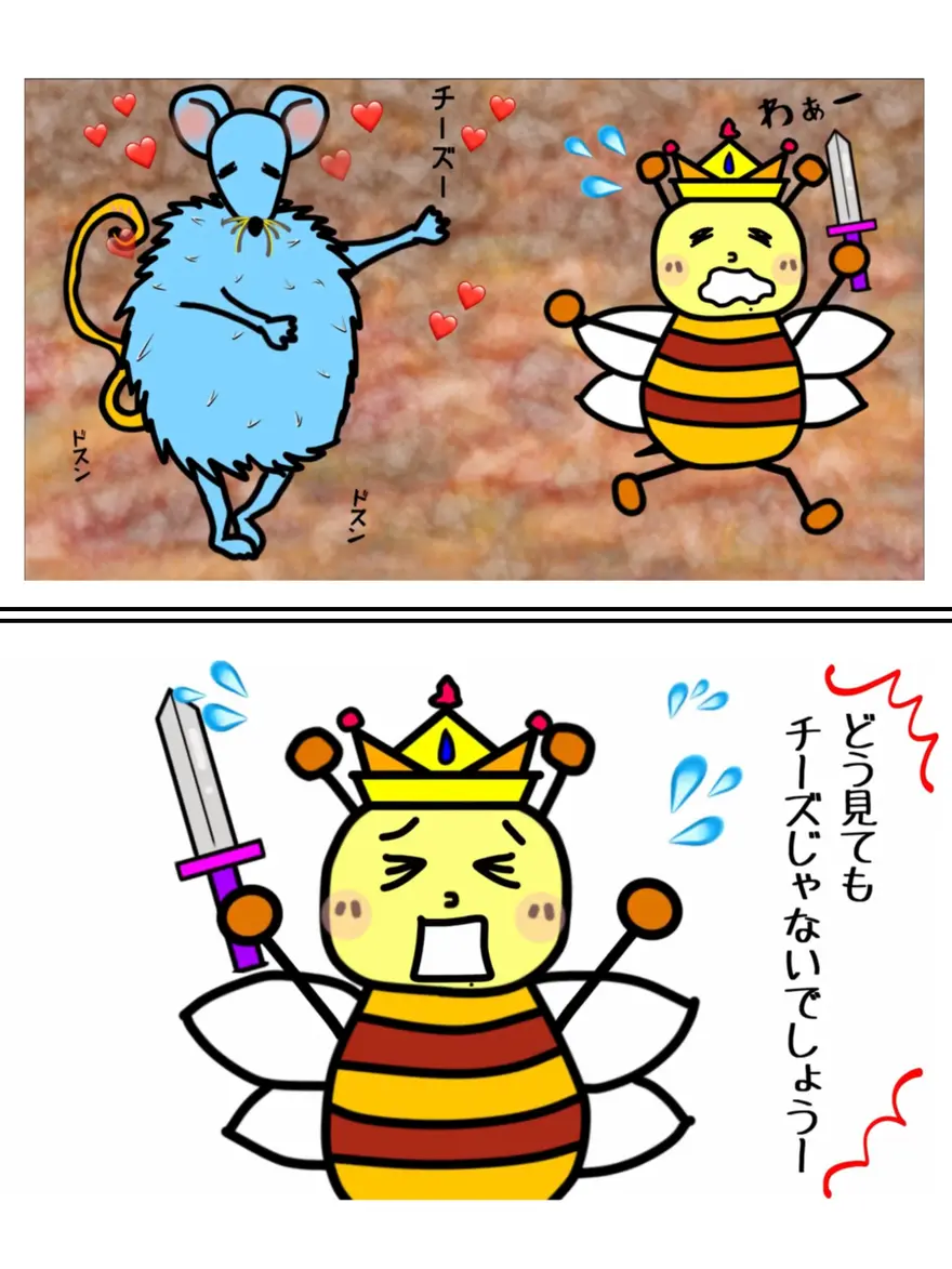 チーズに見えるらしい。。。